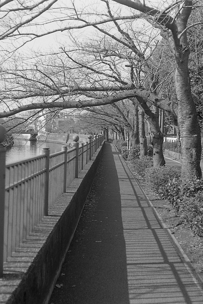 「少し前」 (film)