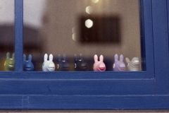 「window horses」 (film)