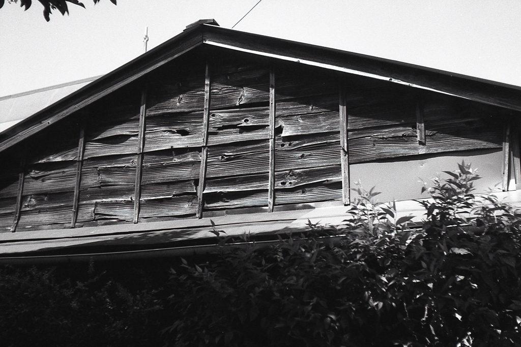 「HOUSE」 (film)