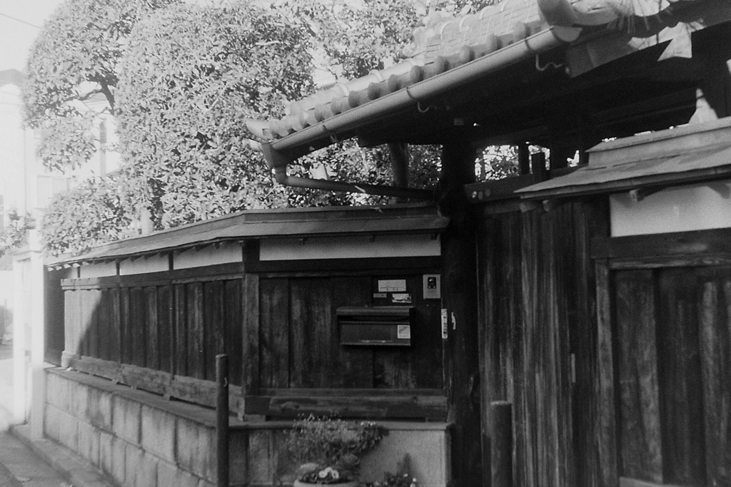「2/2 街歩き19」 (film)