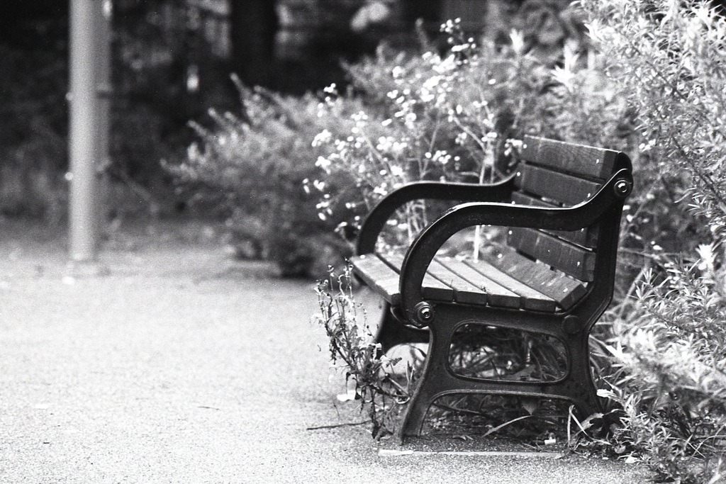 「雨上がりの公園で」 (film)
