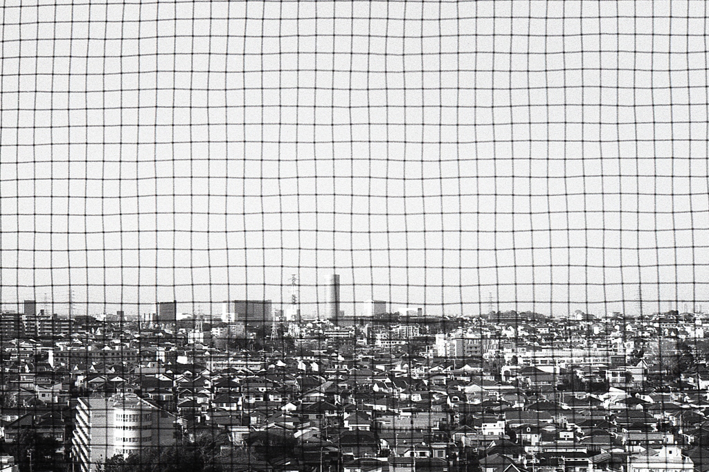 「ネットな世界」 (film)