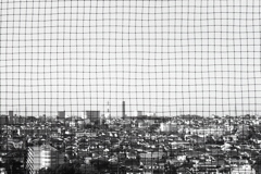 「ネットな世界」 (film)