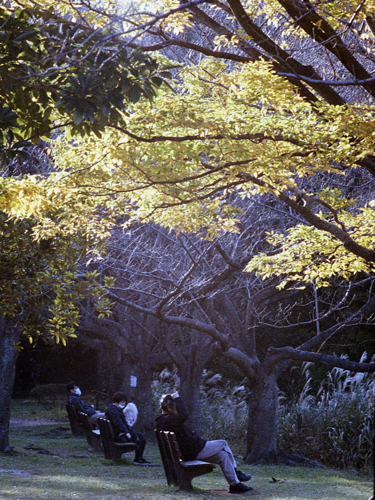 「公園で」 (film)