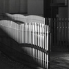 「wave」 (film)