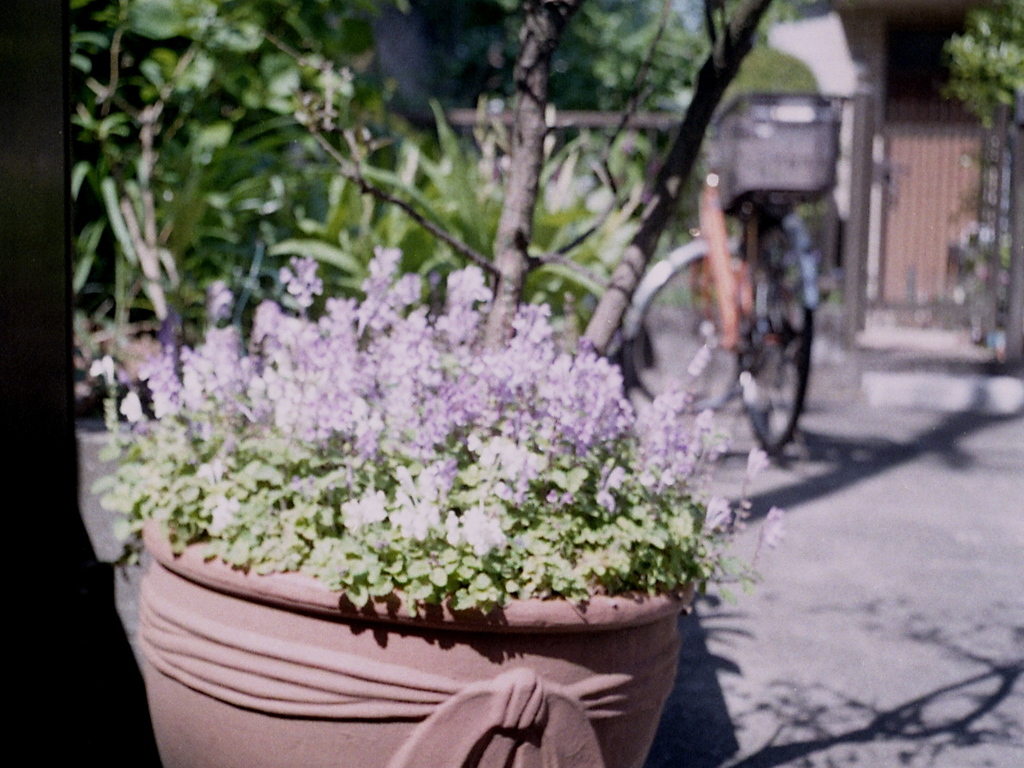 「Scene w bicycle」 (film)