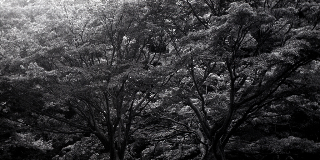 「公園で」 (film)