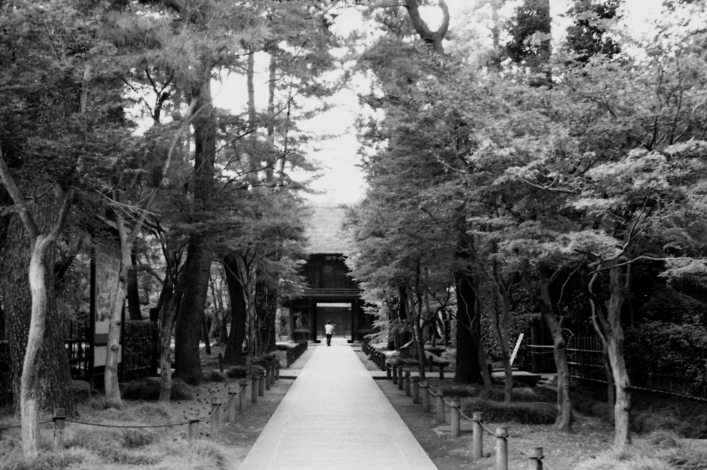 「平林寺」 (film)
