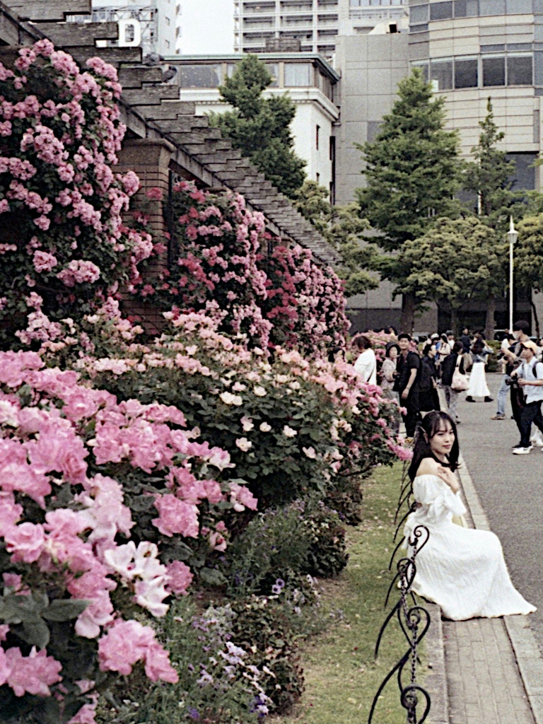 「薔薇園」 (film)
