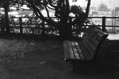 「bench in rain」 (film)