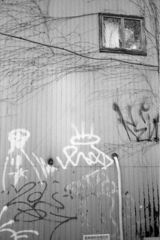「wall」 (film)