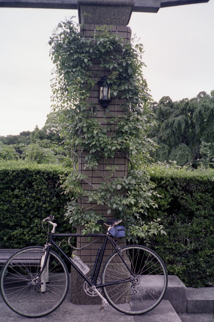 「山下公園で」 (film)