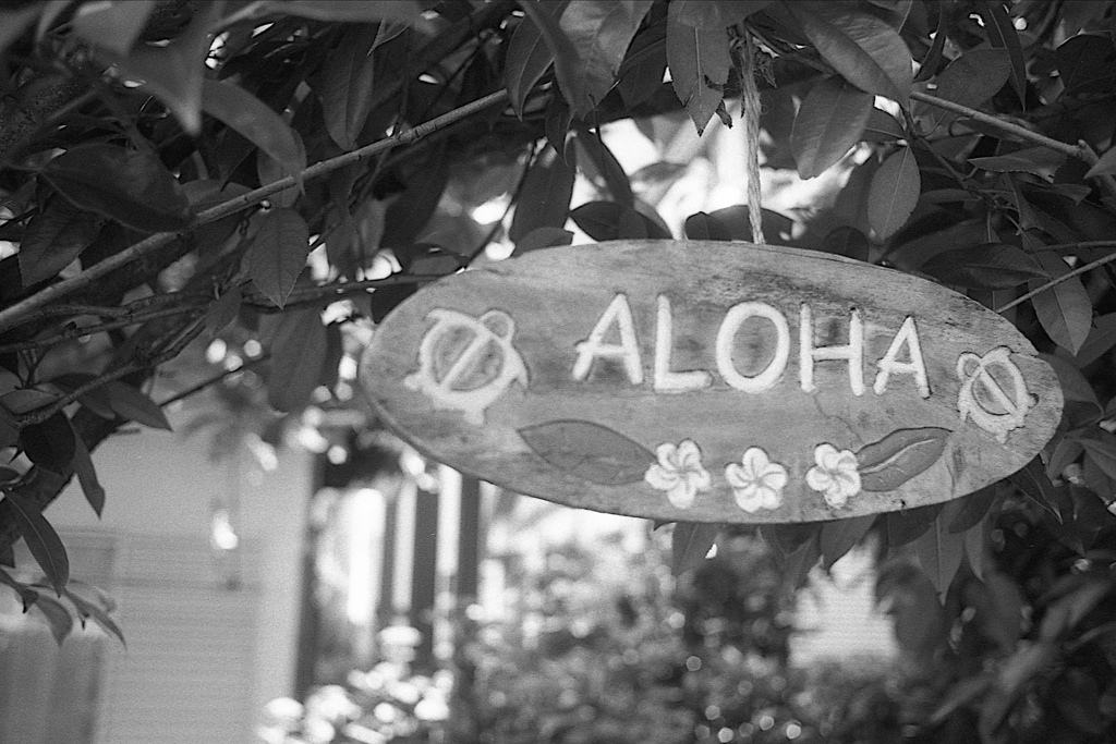 「ALOHA」 (film)