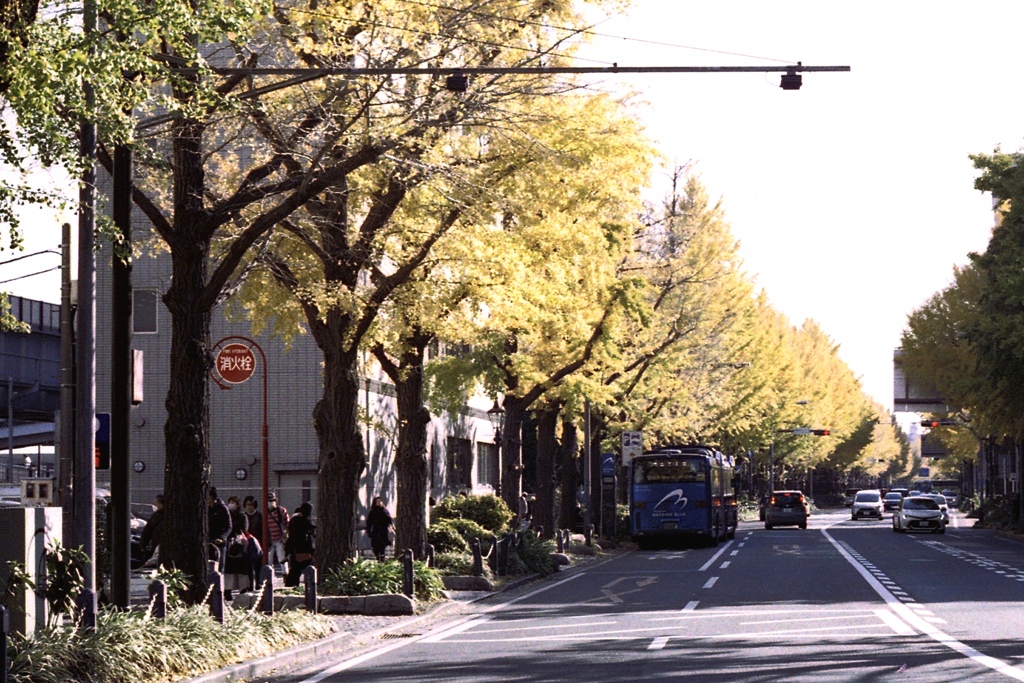 「山下公園通り」 (film)