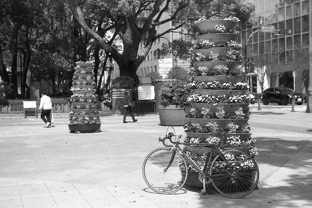 「横浜公園」 (film)