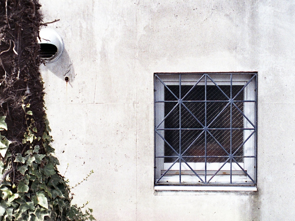 「window」 (film)