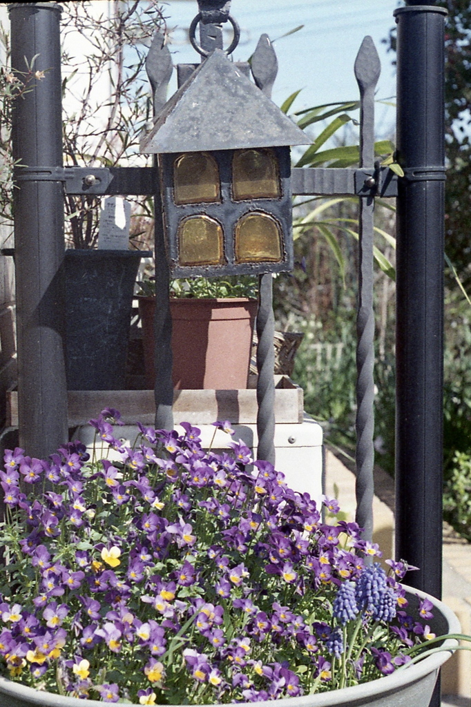 「3/14 散歩写真」 (film)
