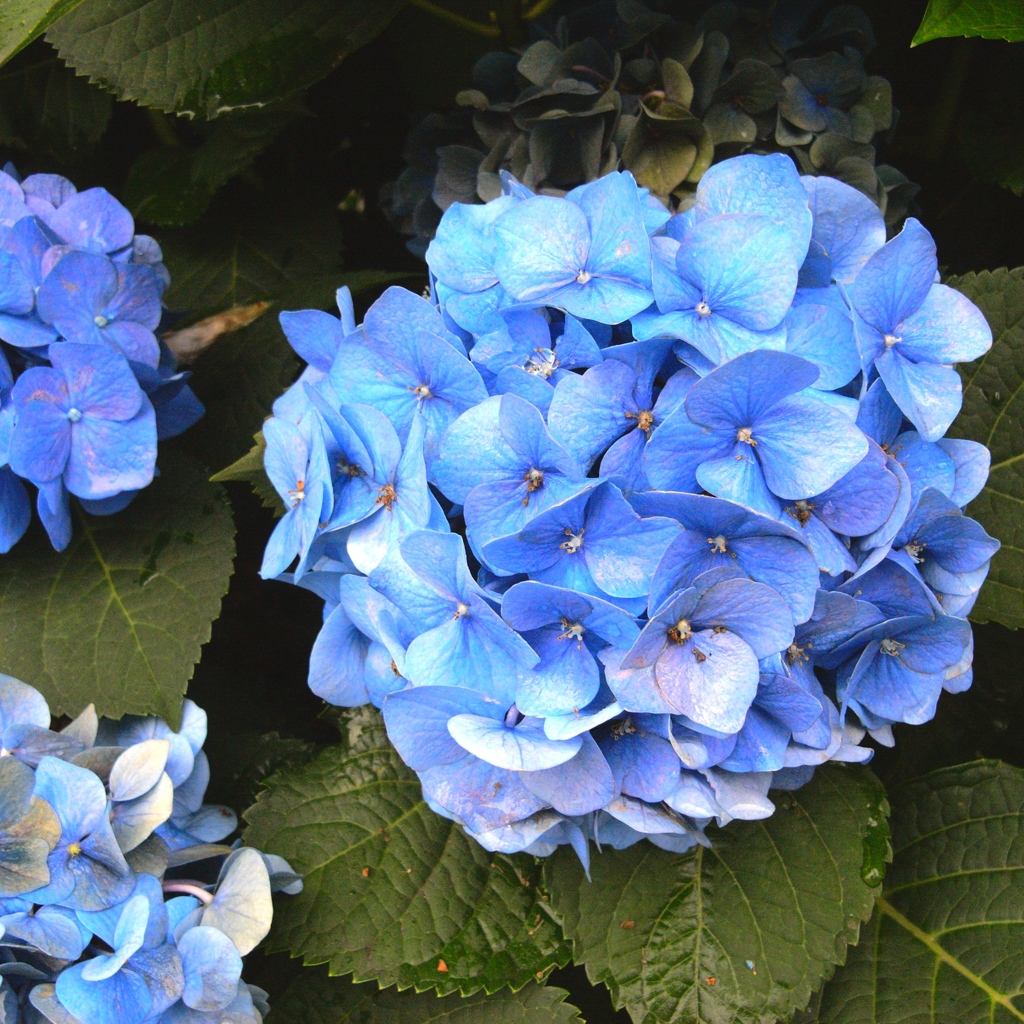 「07/06 小雨 03」