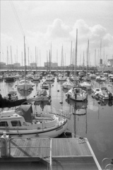 「harbor」 (film)