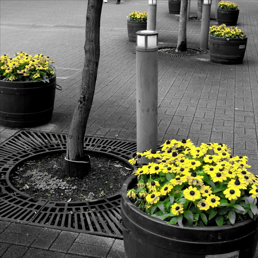 「yellow 05」