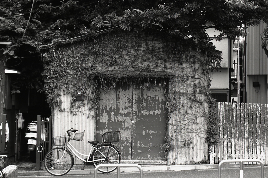 「bicycle」 (film:HR20)