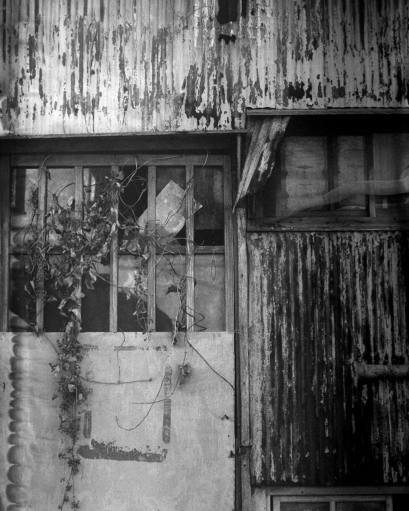 「residue」 (film)