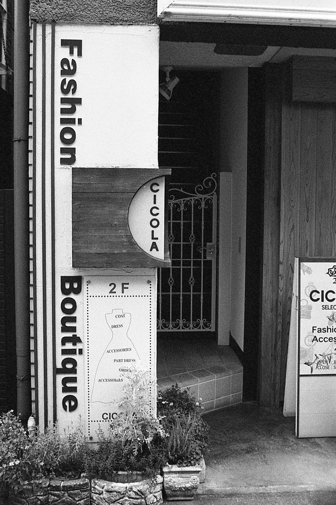 「CICOLA」 (film)