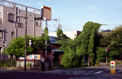 「planter house 01」 (film)