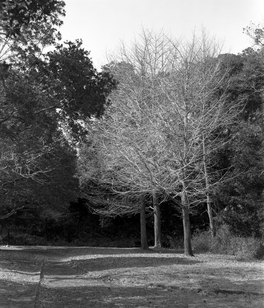 「冬公園」 (film)