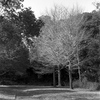 「冬公園」 (film)