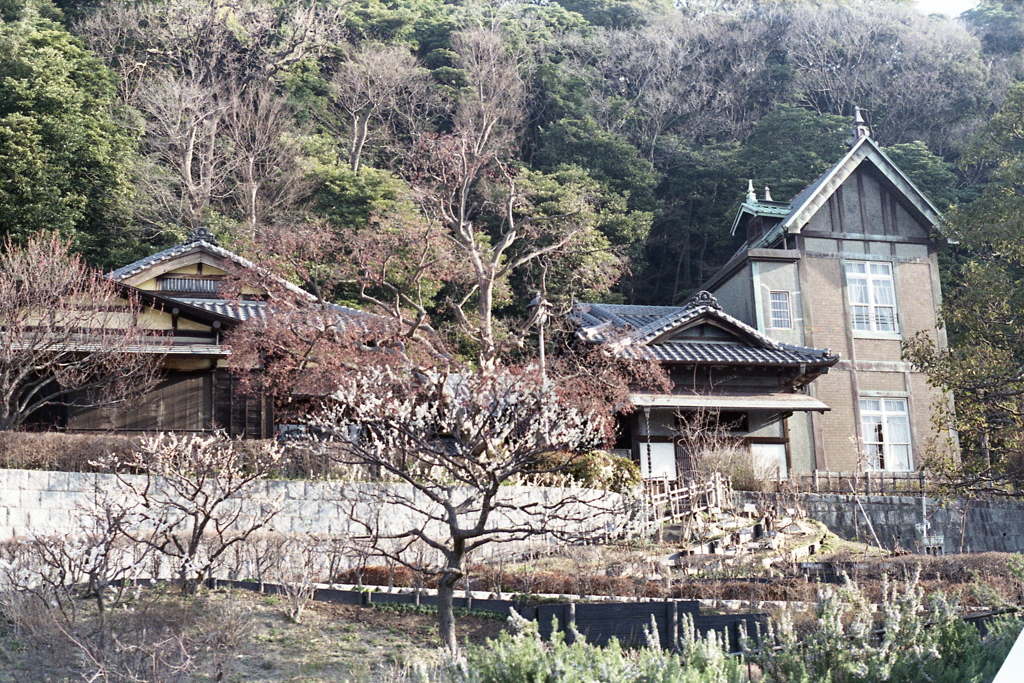 「根岸なつかし公園 旧柳下邸」 (film)