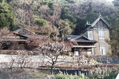 「根岸なつかし公園 旧柳下邸」 (film)