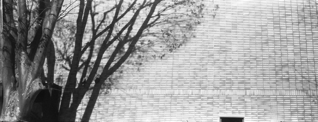 「winter light」 (film)