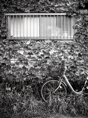 「Halfでいこう: Bicycle Scene」 (film)