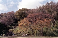 「秋公園」 (film)