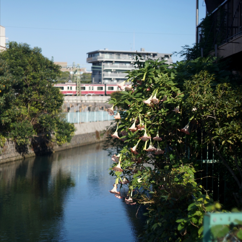 「京急沿線」