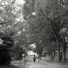 「中原平和公園」 (film)