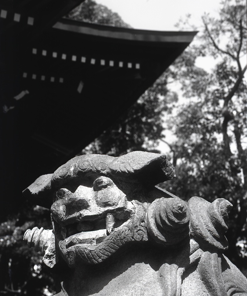 「横浜根岸 八幡神社」 (film:HR20)