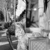 「HAMA snap: 山下」 (film)