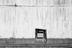 「LIFE」 (film)
