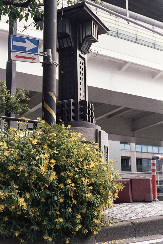 「街角flower」 (film)