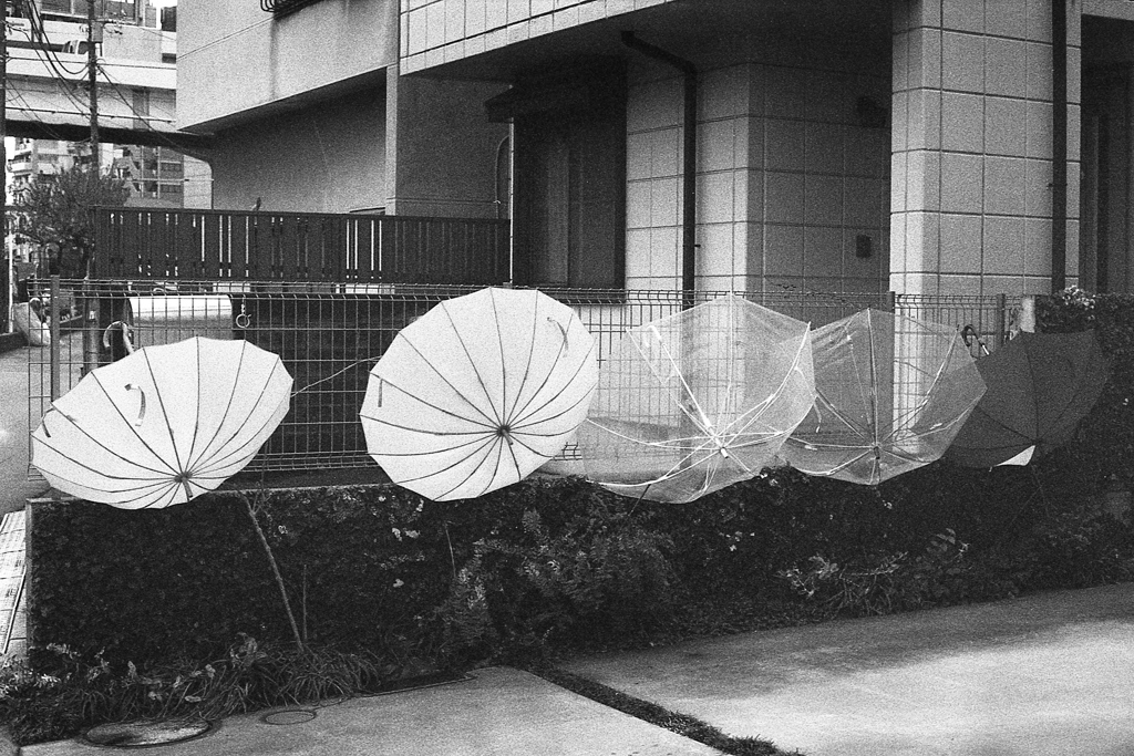 「雨上がり」 (film)