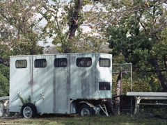 「根岸公園」 (film)