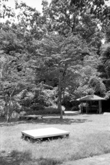 「夏公園」 (film)