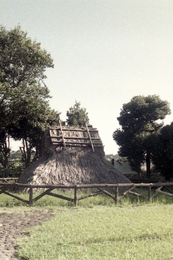 「三殿台遺跡」 (film)