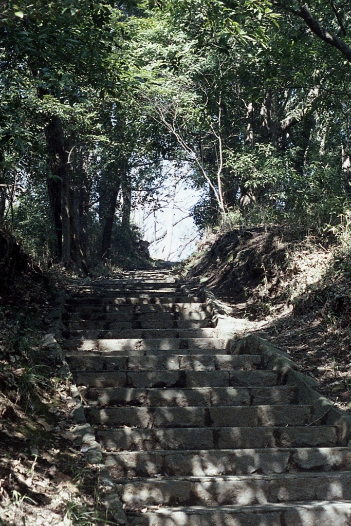 「散歩道」 (film)