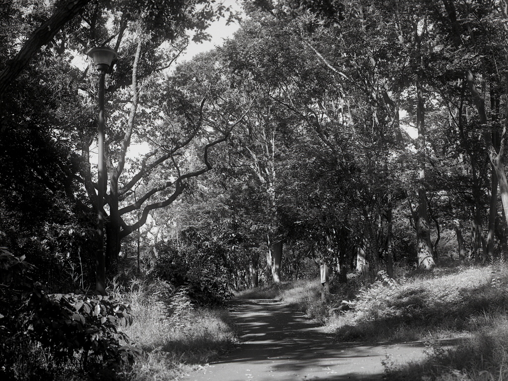 「10/25 久良岐公園」 (film)