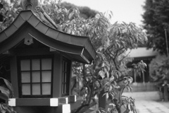 「お宮さん」 (film)