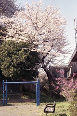 「春公園」 (film)
