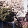 「春公園」 (film)